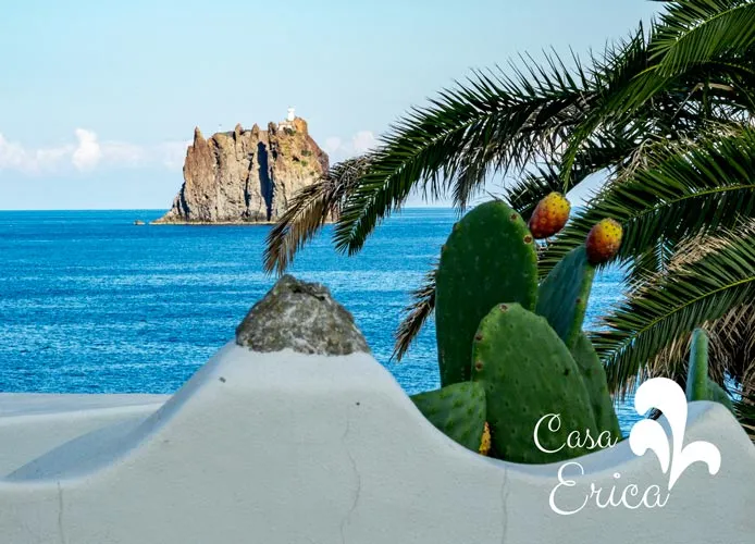 Casa vacanze Stromboli: natura